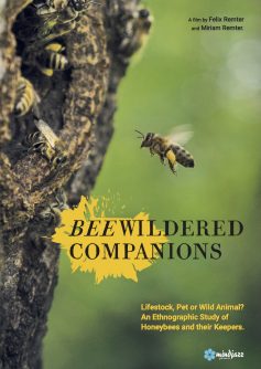 Beewildered Companions